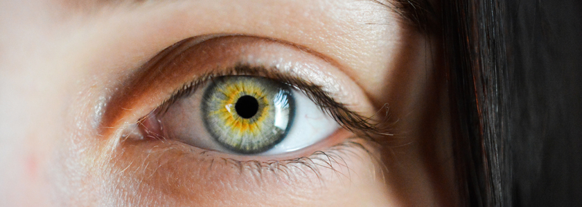 Die Aufgabe Der Iris Im Auge Care Vision Blog