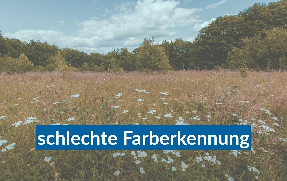 schlechte farberkennung (1)